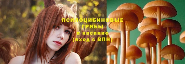МДПВ Ступино