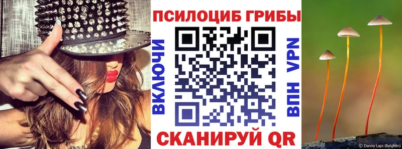 где купить   Юрьев-Польский  Галлюциногенные грибы ЛСД 